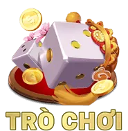 Các môn thể thao khác